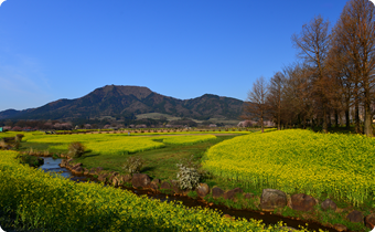 季節ごとの花々が溢れる公園