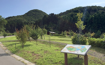 岩室湯のさと公園