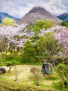 1000坪の庭園と岩室富士